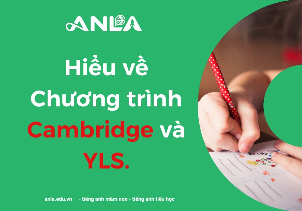 Hiểu về Chương trình Cambridge và YLS – ANLA.EDU.VN